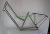 Custom Bike Frame for Ladys with A Kickstand Installing Hole Design